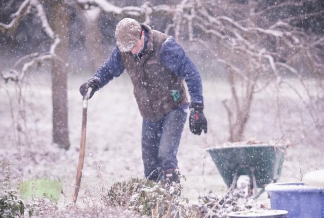 При правильном использовании, снег станет вашим лучшим другом в зимнем садоводстве