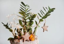 Украшаем комнатные растения к праздникам — 8 идей для любимого цветочка