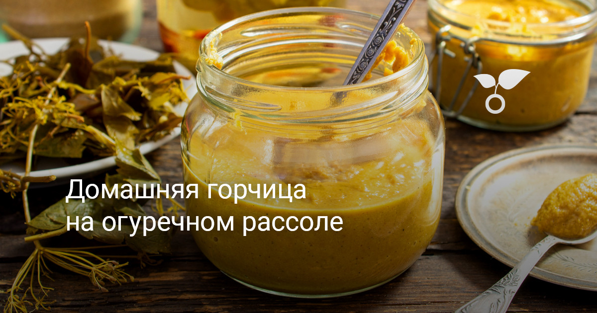 Домашняя горчица из порошка на рассоле