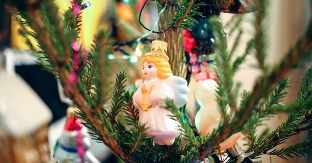 Как продлить жизнь новогодней елке — советы по уходу за живым деревом
