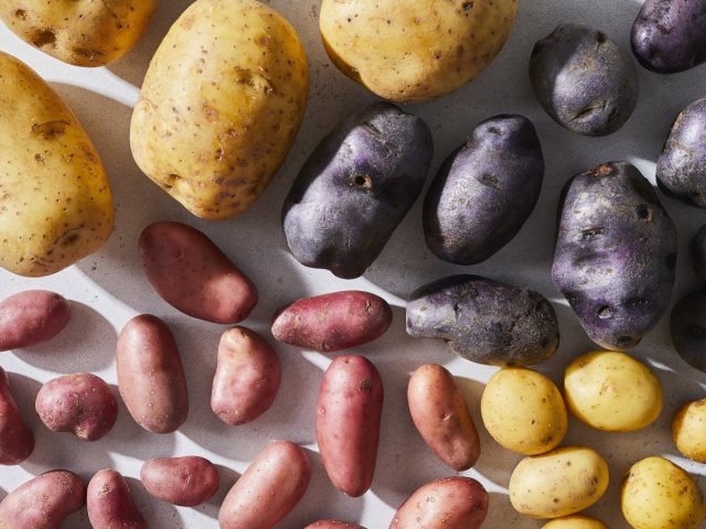 Картофель хорошо адаптируется к щелочным почвам, но предпочитает более низкий pH, от 4,8 до 5,5