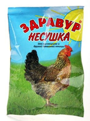 Для несущихся куриц отлично подойдет кормовая добавка Здравур Несушка