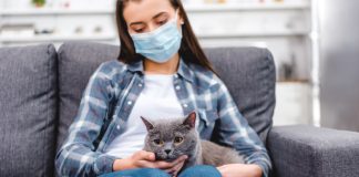 9 опасных болезней, которыми можно заразиться от животных