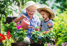 Что должен знать каждый садовод: 10 советов, чтобы стать настоящим профессионалом
