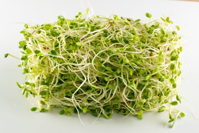 Микрозелень клевера богата витаминами А, В, С и К, цинком, магнием и белком