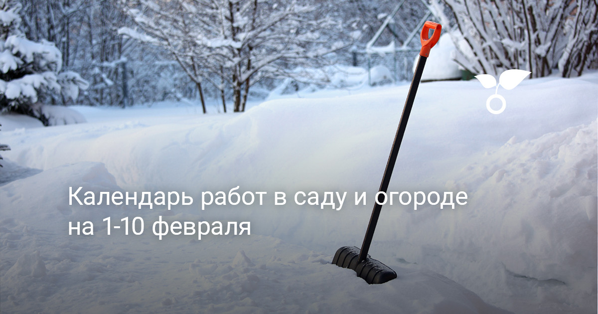 Календарь работ в саду и огороде на 1-10 февраля —Ботаничка