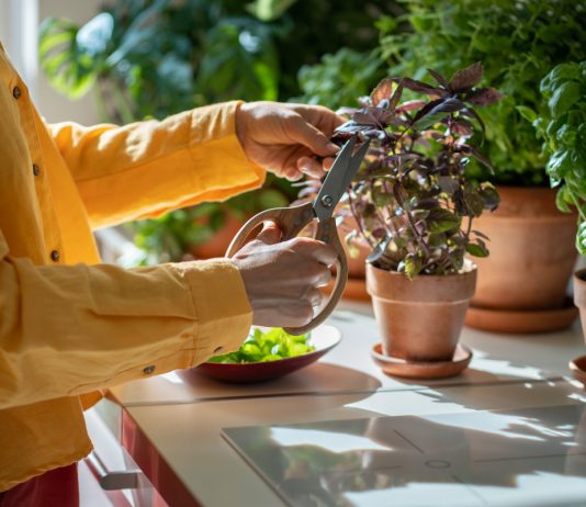 Уход за садом: советы и рекомендации