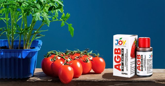 Подстегнуть кусты томатов к росту поможет JOY «AGB» для роста, цветения и плодоношения