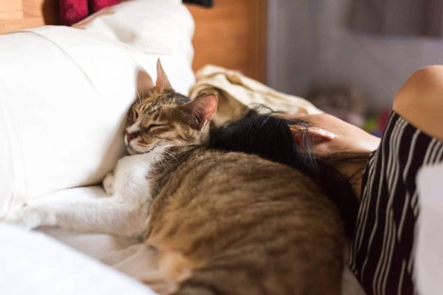 Если кот спит рядом с вами или на вас, он готов делать это даже в самой неудобной позе, лишь бы быть к вам ближе