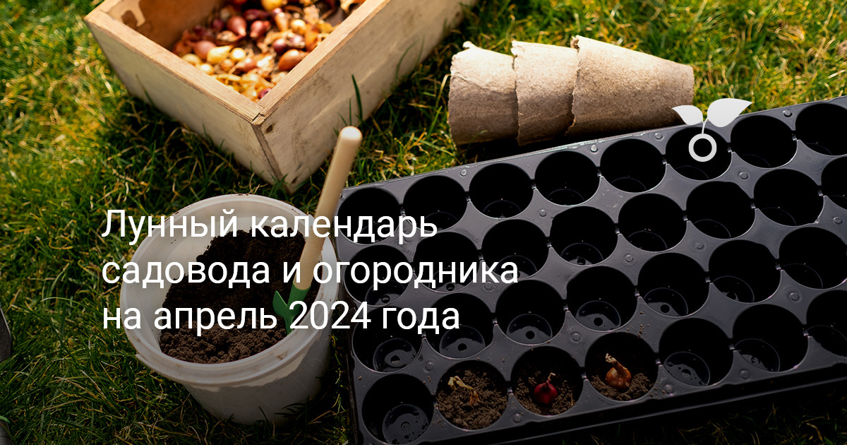 Секреты лунного календаря в помощь садоводам-огородникам в 2018 году