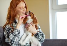 Нужно ли чистить зубы собаке — главные правила гигиены
