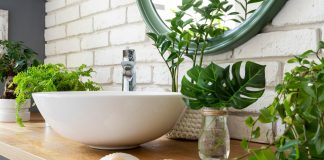 Тропики в душевой: 12 лучших растений для ванной комнаты