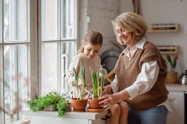 Ваш ребёнок полюбит растения — фрукты для выращивания с детьми