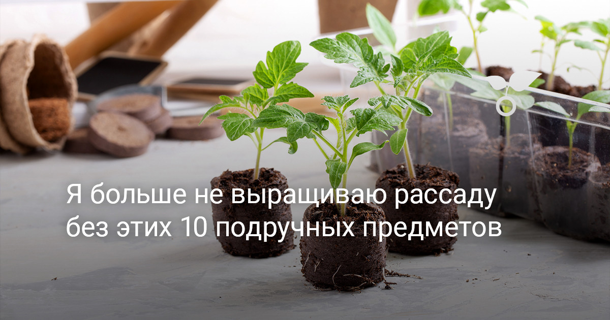 Народные средства от запора: как выбрать лучшее натуральное средство?