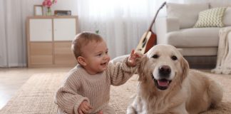 Какую собаку завести в семье с ребенком?