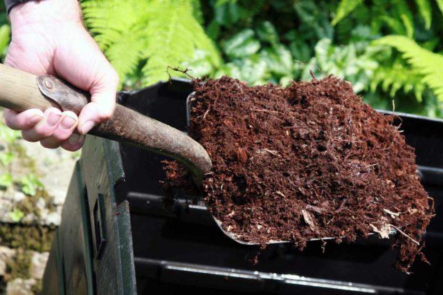 Органику можно сразу вносить под перекопку, а можно располагать на поверхности грядок и граблями заделывать в верхний слой почвы