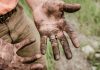 Защита для рук: как выбрать подходящие перчатки для садоводства и уборки