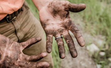 Защита для рук: как выбрать подходящие перчатки для садоводства и уборки