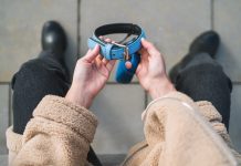Как преодолеть боязнь собак? Простые правила взаимодействия с животным