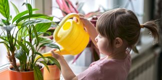 Какие растения опасно ставить в детскую комнату?