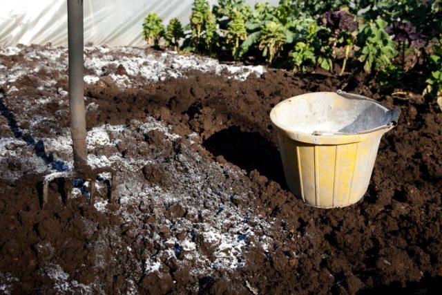 Дефицит калия можно восполнить с помощью золы, которую вносят в «чистом виде» под культурные растения или в компост