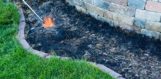Самовозгорание мульчи: как защитить свой сад от пожара
