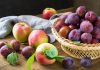 Экологичная защита урожая плодов и ягод от основных болезней