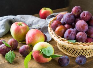 Экологичная защита урожая плодов и ягод от основных болезней