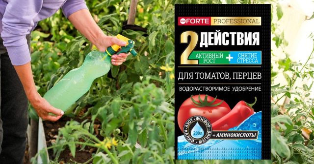 Чтобы не смешивать различные удобрения в нужных пропорциях, стоит просто взять одно качественное комплексное – водорастворимое Bona Forte для томатов и перцев с аминокислотами