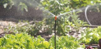 Преимущества систем автополива: увеличиваем урожайность и экономим воду