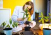 Советы по уходу за растениями, которые вы хотели бы знать раньше