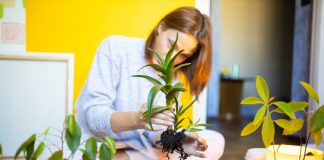 Советы по уходу за растениями, которые вы хотели бы знать раньше