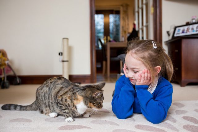 Если ребёнок не очень активен и предпочитает большую часть времени проводить дома, ему прекрасно подойдёт кошка.