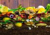 Лучшие ингредиенты для компоста — качественное созревание в короткие сроки