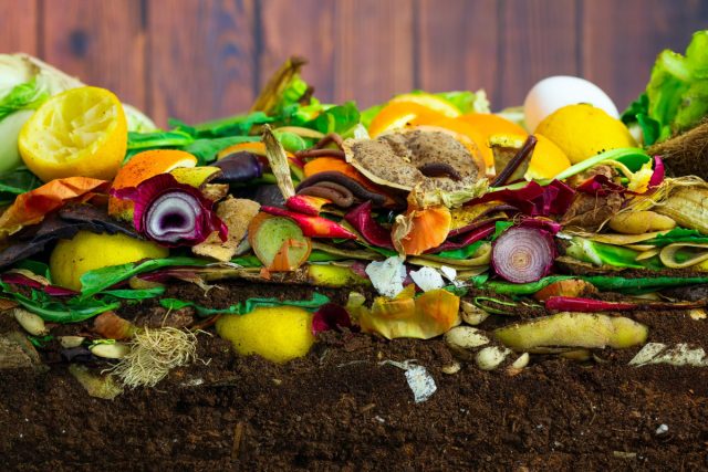 Лучшие ингредиенты для компоста — качественное созревание в короткие сроки