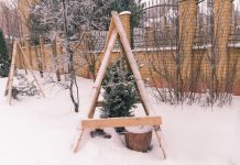 Чтобы саженцы пережили зиму: как защититься от непогоды и голодных животных.