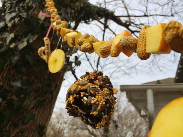 Гирлянды из кусочков сала, ягод рябины, кусочков яблок и тыквы замечательно будут смотреться на деревьях в преддверии Нового года.