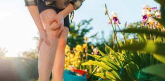 Как отдохнуть на природе без укусов насекомых и клещей.