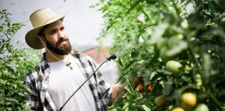 Можно ли защитить сад от вредителей одной обработкой — советы экспертов.