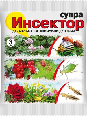 Для профилактических и искореняющих обработок от тли лучше всего подходит препарат «Инсектор Супра». Для профилактических и искореняющих обработок от тли лучше всего подходит препарат «Инсектор Супра».