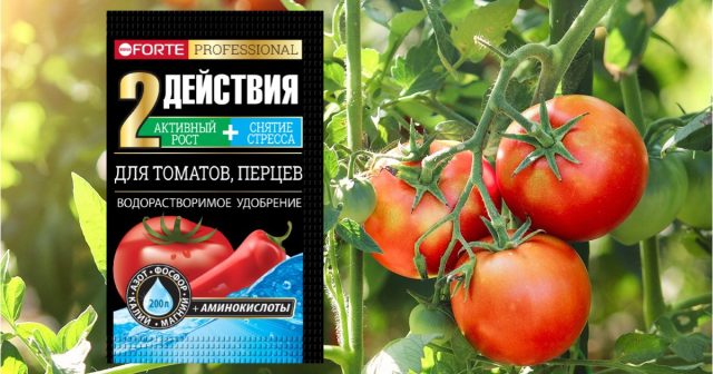 Добавьте в такую систему комплекс с аминокислотами Bona Forte для томатов и перцев (из расчёта 10 г на 10 л воды) и вы получите крепкие и здоровые растения. Добавьте в такую систему комплекс с аминокислотами Bona Forte для томатов и перцев (из расчёта 10 г на 10 л воды) и вы получите крепкие и здоровые растения.