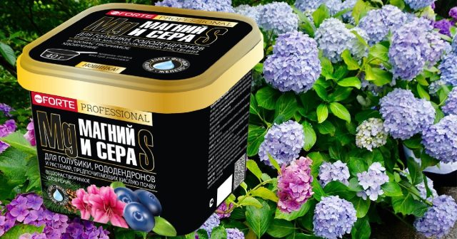 Водорастворимый комплекс Bona Forte для рододендронов, голубики и других кислотолюбивых растений с серой и магнием - это источник полного набора необходимых питательных веществ, и профилактическое средство против любых хлорозов. Водорастворимый комплекс Bona Forte для рододендронов, голубики и других кислотолюбивых растений с серой и магнием - это источник полного набора необходимых питательных веществ, и профилактическое средство против любых хлорозов.