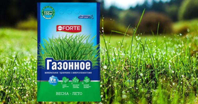 Подкормка гранулированным удобрением Газонное Bona Forte отлично восстанавливает силы травы и помогает ей не проиграть в битве с конкурентом. Подкормка гранулированным удобрением Газонное Bona Forte отлично восстанавливает силы травы и помогает ей не проиграть в битве с конкурентом.