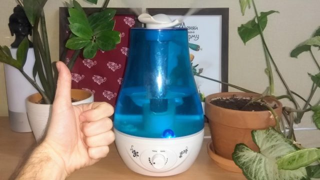 Они спасают, когда зимой воздух в доме настолько сухой, что сохнет кожа, першит в горле, трудно спать. Но есть важный нюанс: если пользоваться ими без остановки и не проверять влажность, результат будет обратным. Они спасают, когда зимой воздух в доме настолько сухой, что сохнет кожа, першит в горле, трудно спать. Но есть важный нюанс: если пользоваться ими без остановки и не проверять влажность, результат будет обратным.